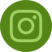 Image of the instagram logo in green